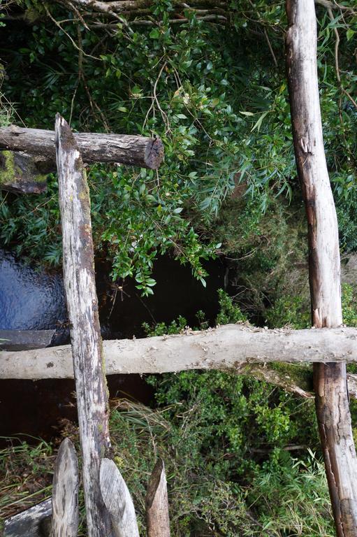 Cabanas Vista Tranquila Chiloe Кастро Екстер'єр фото